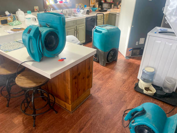 Best Water damage restoration near me  in College, AK