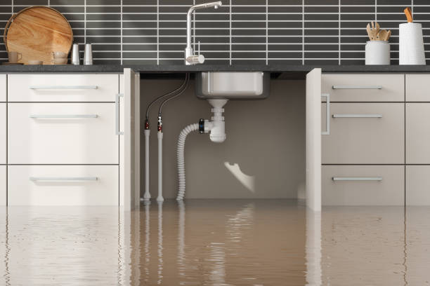 Best Water damage restoration mold remediation  in College, AK