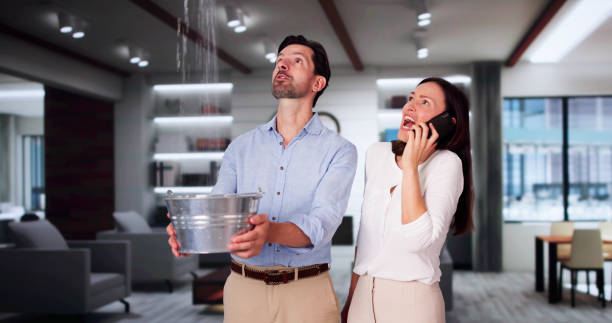 Water damage restoration insurance claims in College, AK