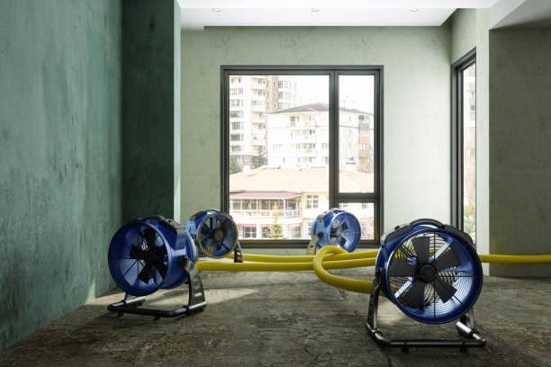 Best Emergency water damage restoration  in College, AK